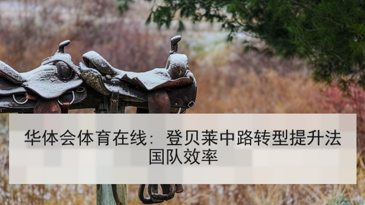 华体会体育在线: 登贝莱中路转型提升法国队效率