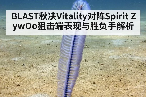 BLAST秋决Vitality对阵Spirit ZywOo狙击端表现与胜负手解析